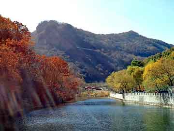 管家婆免费正版资起大全，繁峙县种子代理